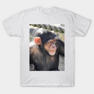 Chimpanzee T-Shirt